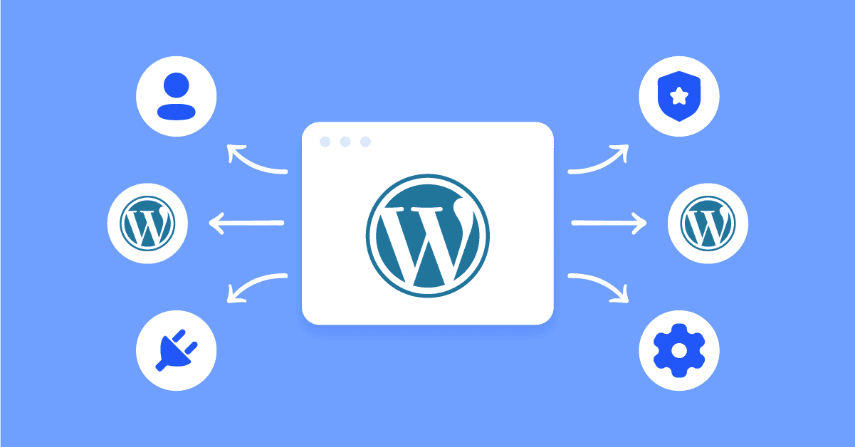 How To Set Up A WordPress Multisite?